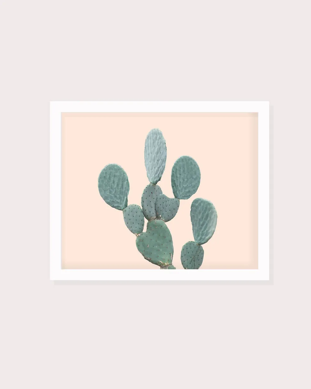 Minimal Cactus No. 3