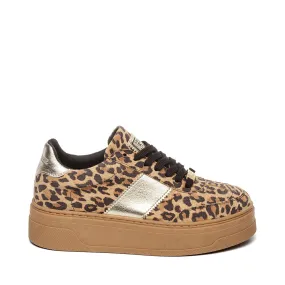 Moxy Trainer LEOPARD