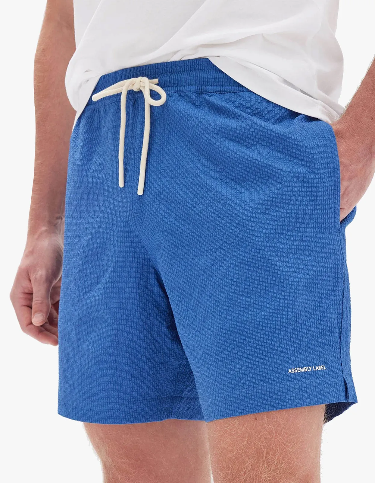 Seth Swim Short - Lapis