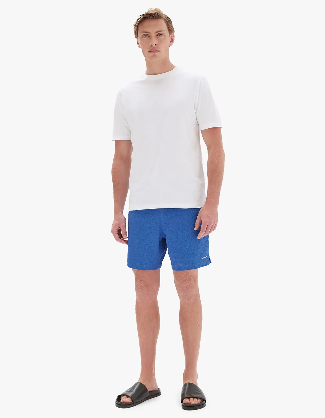 Seth Swim Short - Lapis